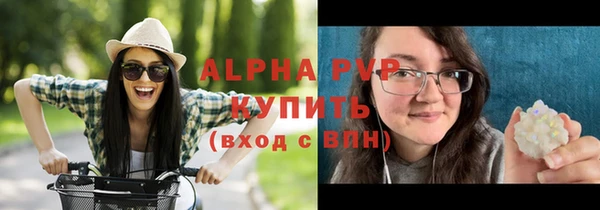 стаф Богородицк