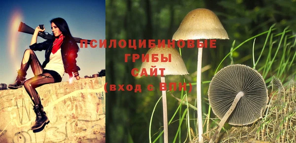 каннабис Белокуриха