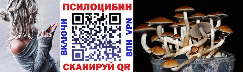 OMG ТОР  Пестово  Галлюциногенные грибы Psilocybe 
